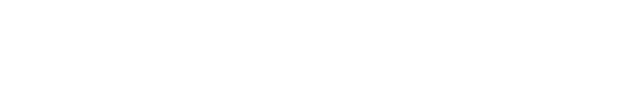 Solve Tech Vision LLC